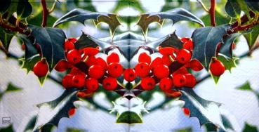 097 Berry - 3-ply - Home Fashion
